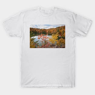 Overlooking Pink Lake T-Shirt